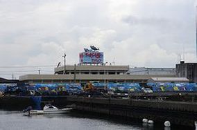枕崎漁港の風景